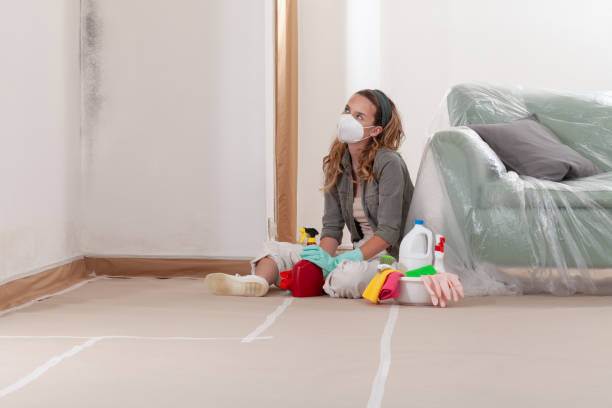 Reliable Mold Testing contractor in Wye Mills, MD by WQB Mold Removal